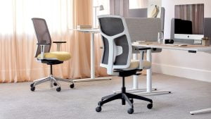 lumbar support chair used in a productive office environment