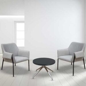 Liana Lounge Chair and a coffe table