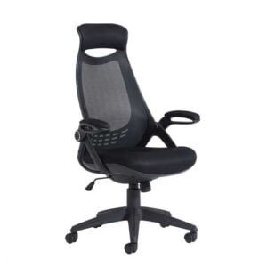Tuscan Mesh Chair in black with adjustable seat and headrest