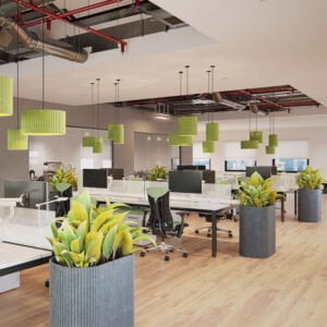Boom-Acoustic-Planters-shown-in-an-open-plan-office.