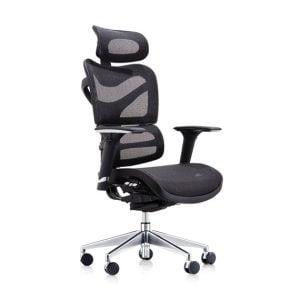 Modern ergonomic task chair