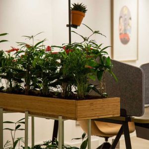 wooden bamboo planter pot on green frame