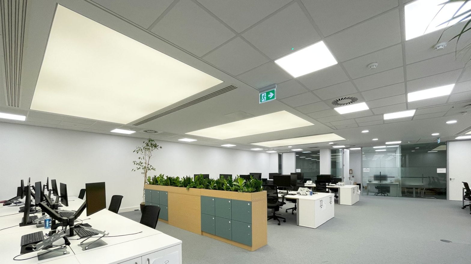 Miki Travel Office Space Design | Furniture Case Study