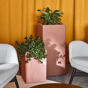 2 different sized Floris planters between 2 lounge chairs