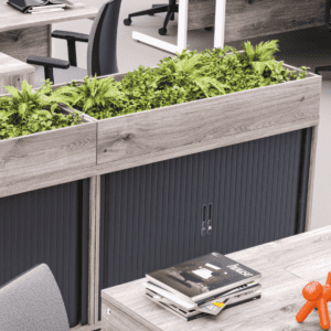 Imperial planters storage biophillia
