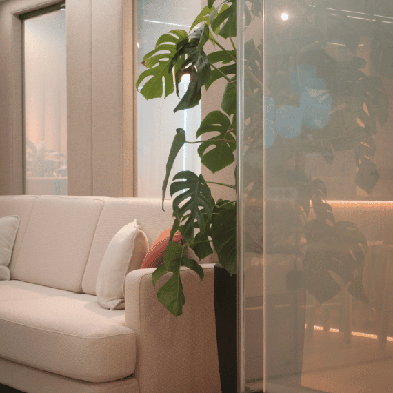 sofa in the bob rooms with feature windows behind acoustic solutions by jdd furniture